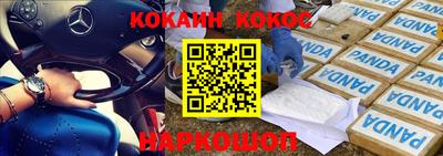прущие грибы Абакан