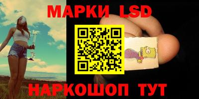 прущие грибы Абакан