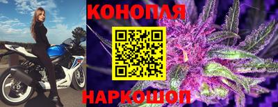 прущие грибы Абакан