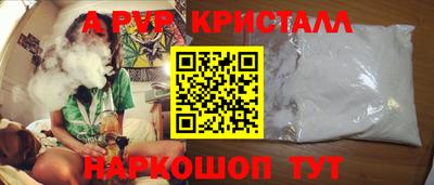 прущие грибы Абакан