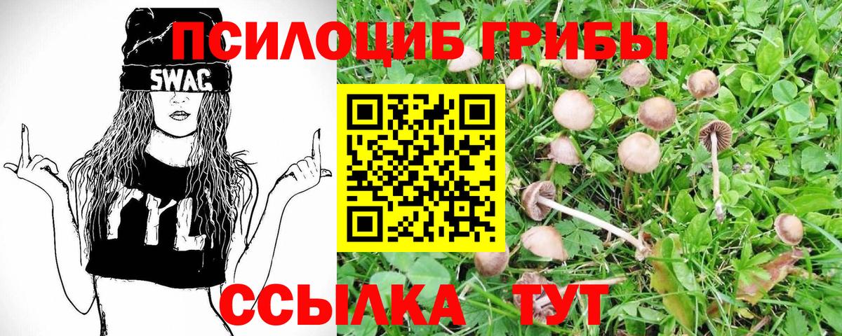 Псилоцибиновые грибы Magic Shrooms  Вход с VPN  Александров 