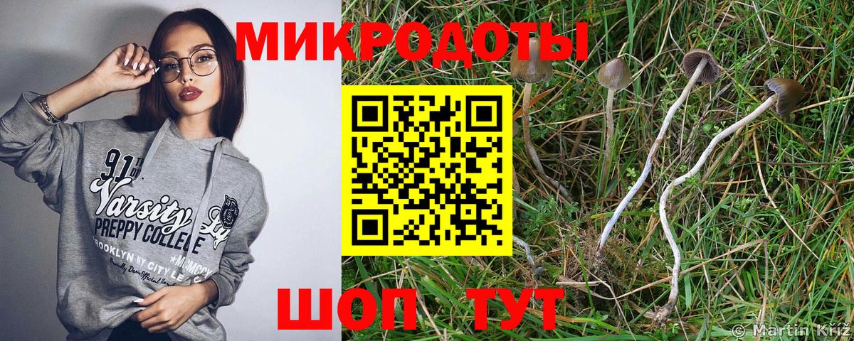 Галлюциногенные грибы ЛСД Александров