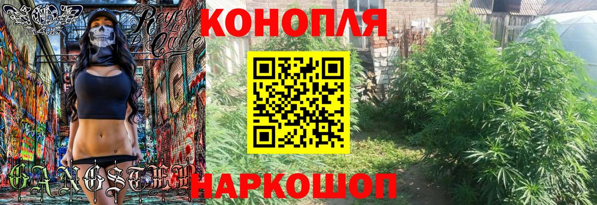 Шишки марихуана THC 21%  Бошки Шишки ГИДРОПОН  Вход с VPN  Александров  Каннабис SATIVA & INDICA 