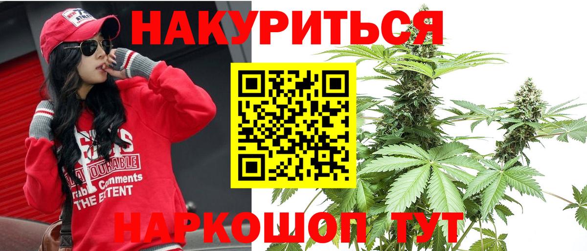 Бошки марихуана план Александров